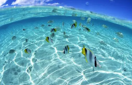 Isla Bonita - Photo 5