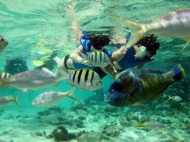 Isla Bonita - Photo 7