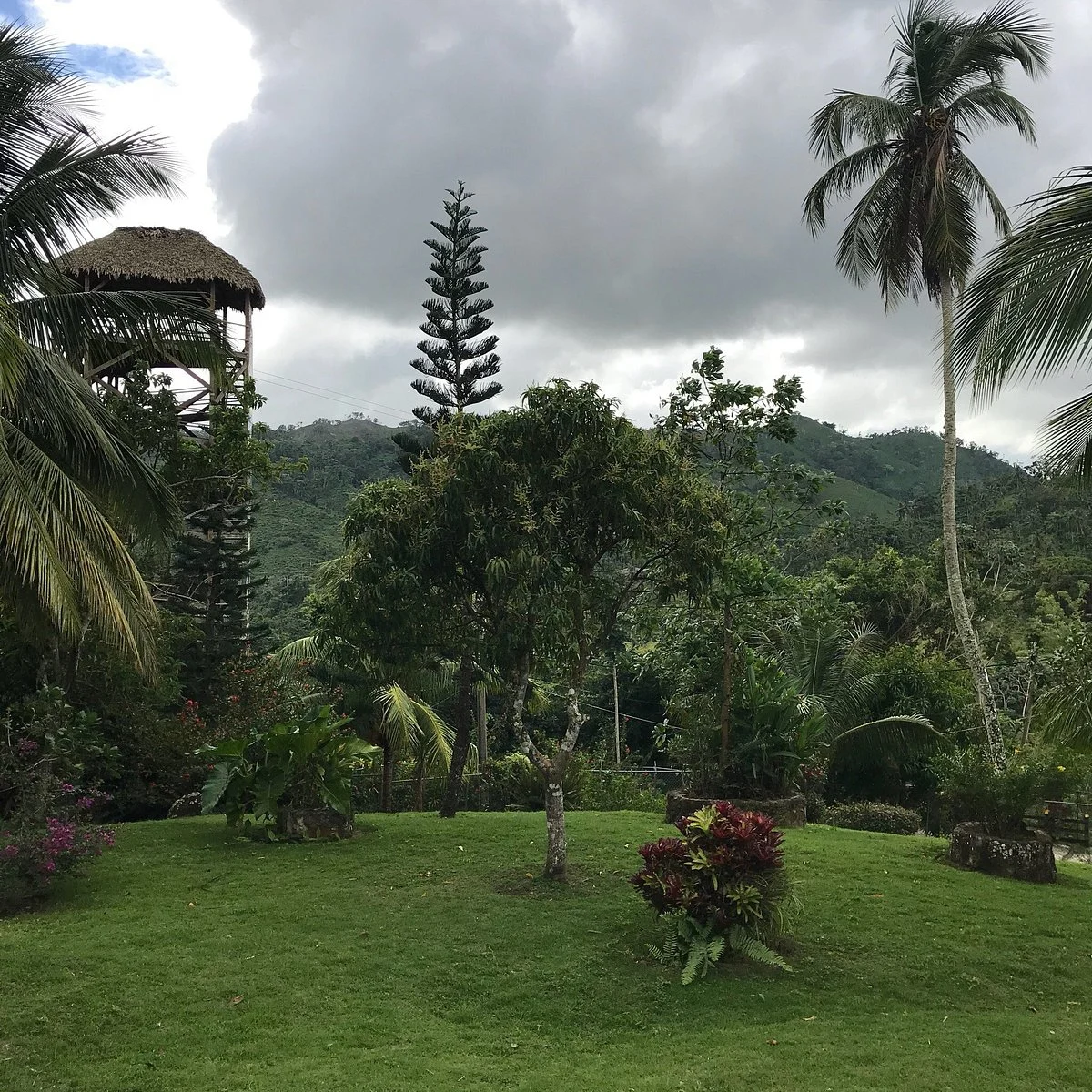 X2 Combo: Zipline + 12 Waterfalls - Photo 6