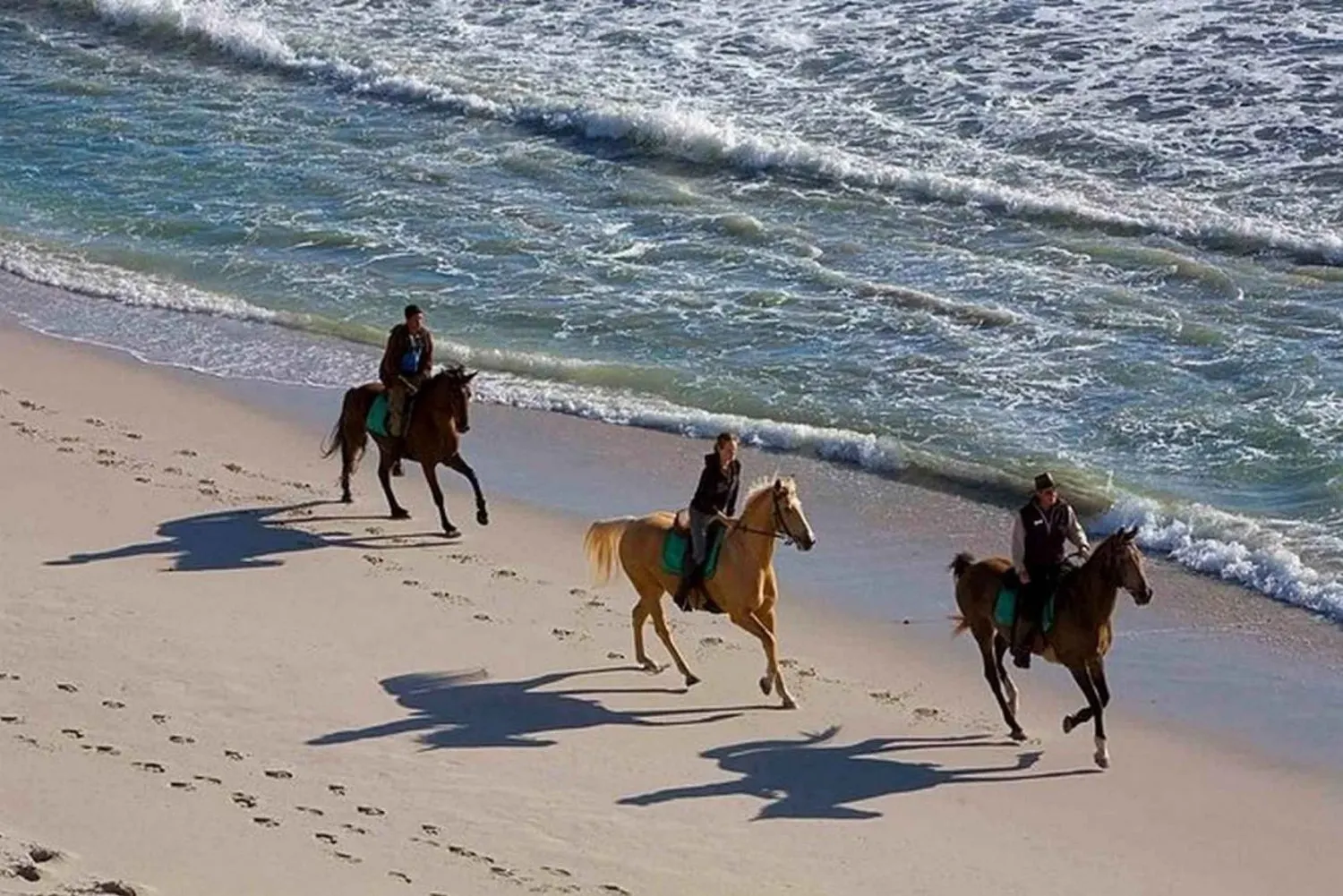 Horseback Riding Adventure - Photo 5