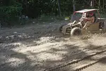 Buggies Adventure thumbnail 6