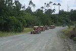 Buggies Adventure thumbnail 3