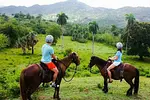Horseback Riding Adventure thumbnail 1