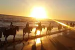 Horseback Riding Adventure thumbnail 3