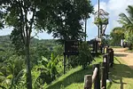Zipline Adventure thumbnail 6
